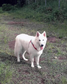 Meucci mit einem Jahr